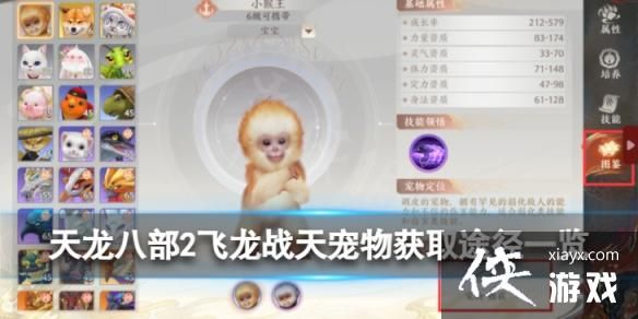 天龙八部2飞龙战天宠物怎么获取