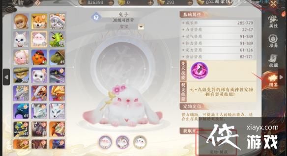 天龙八部2飞龙战天宠物怎么获取