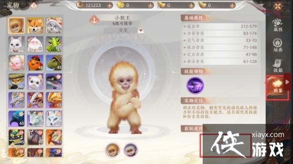 天龙八部2飞龙战天宠物怎么获取