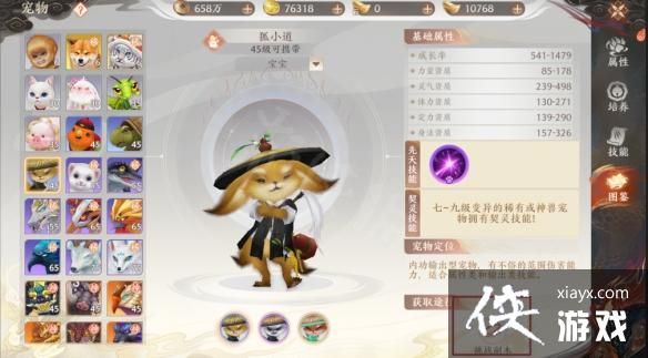 天龙八部2飞龙战天宠物怎么获取