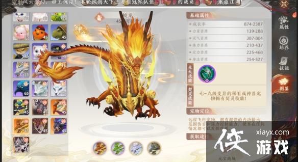 天龙八部2飞龙战天宠物怎么获取