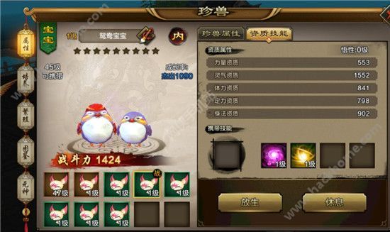 天龙八部手游宠物怎么培养 宠物养成技巧讲解图片1