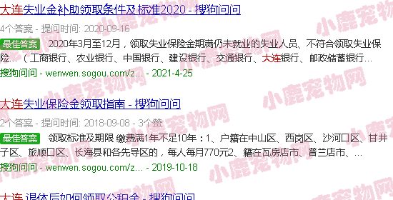 大连领养