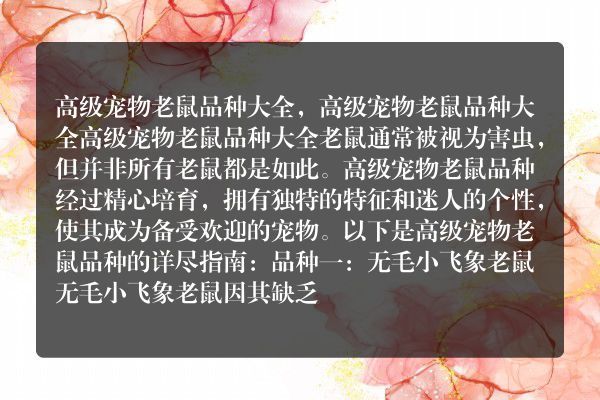 高级宠物老鼠品种大全，高级宠物老鼠品种大全