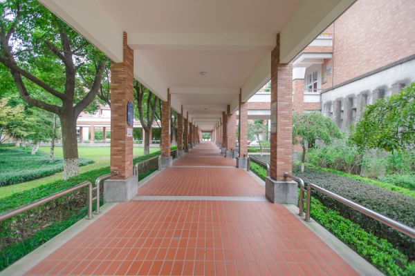成都兽医学校宠物专业学校有哪些