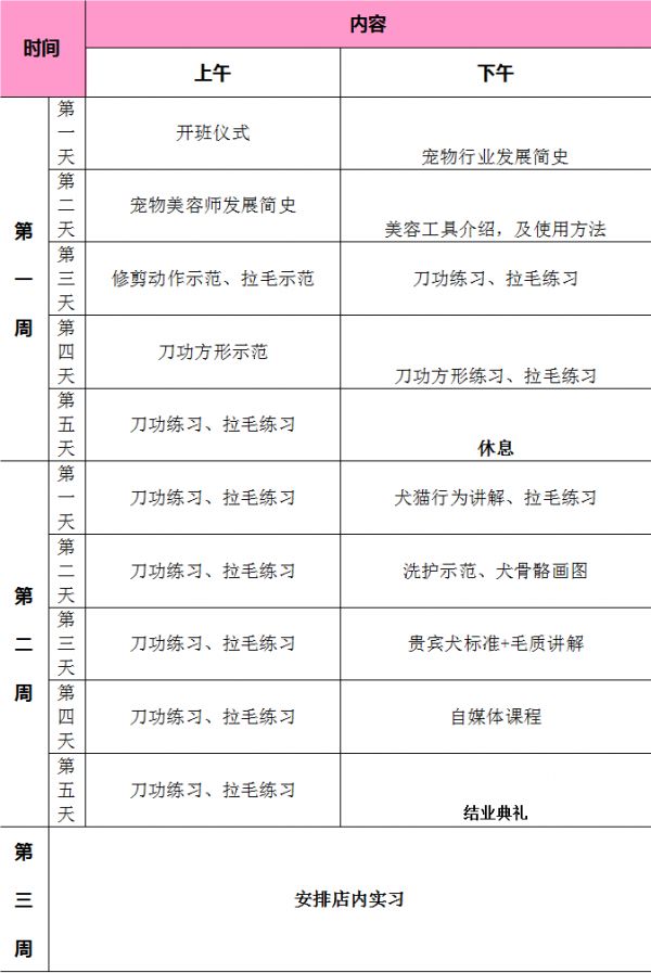 课程安排