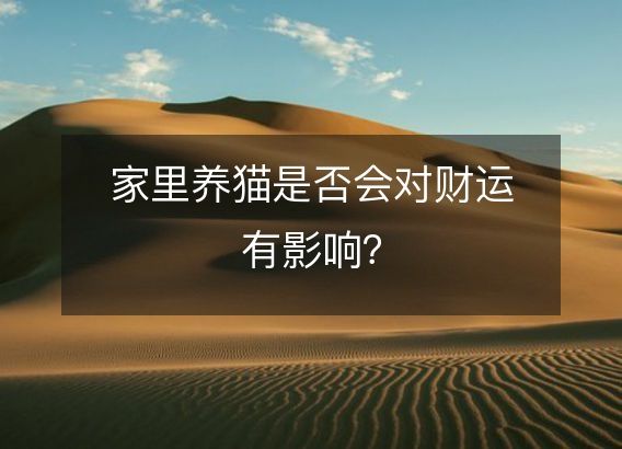 家里养猫是否会对财运有影响？