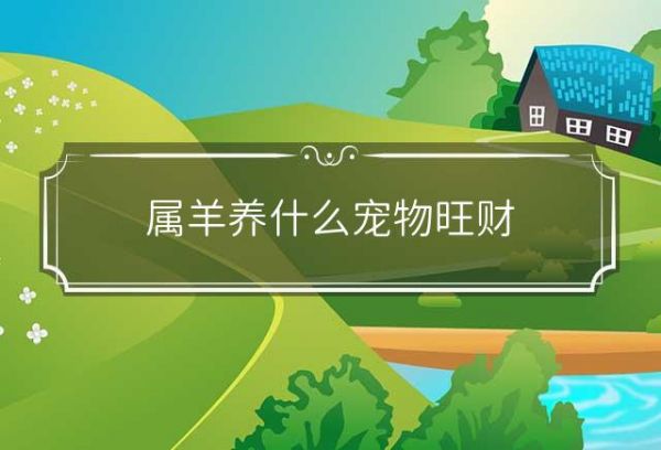 属羊养什么宠物旺财