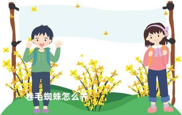 卷毛蜘蛛怎么养