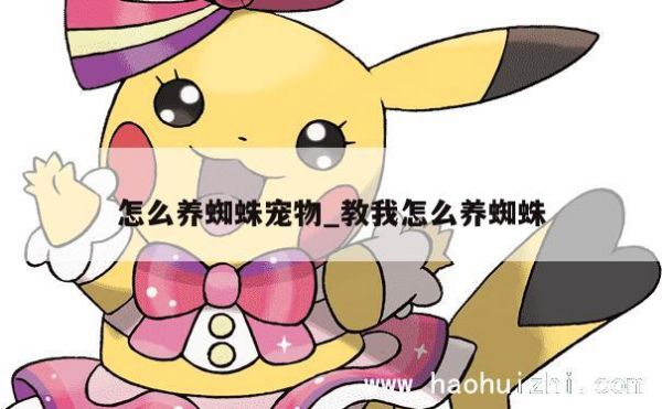 怎么养蜘蛛宠物_教我怎么养蜘蛛 第1张