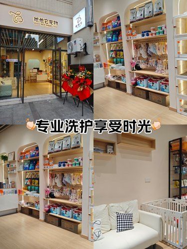 她他它宠物店