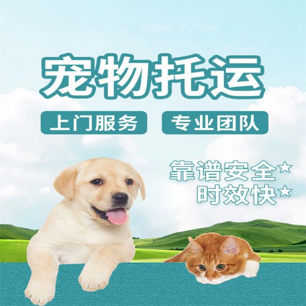 威信托运-汽车托运狗狗本地邮寄