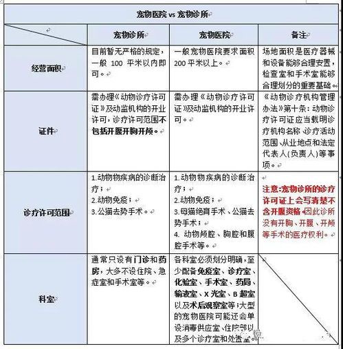 东营宠物医院怎么样？宠物医院排名及服务评价