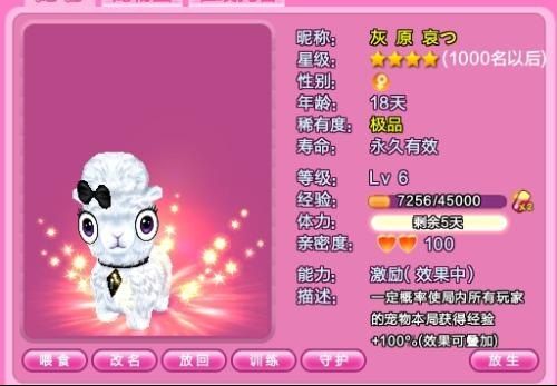 qq炫舞宠物名字大全,QQ炫舞宠物名字大全：萌宠伴你舞动青春