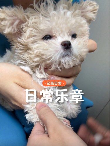 万物皆有灵性