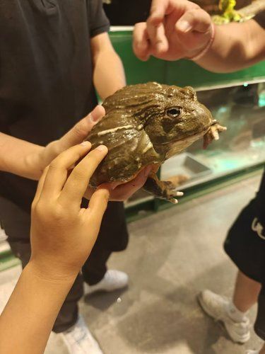 怪物怪物！