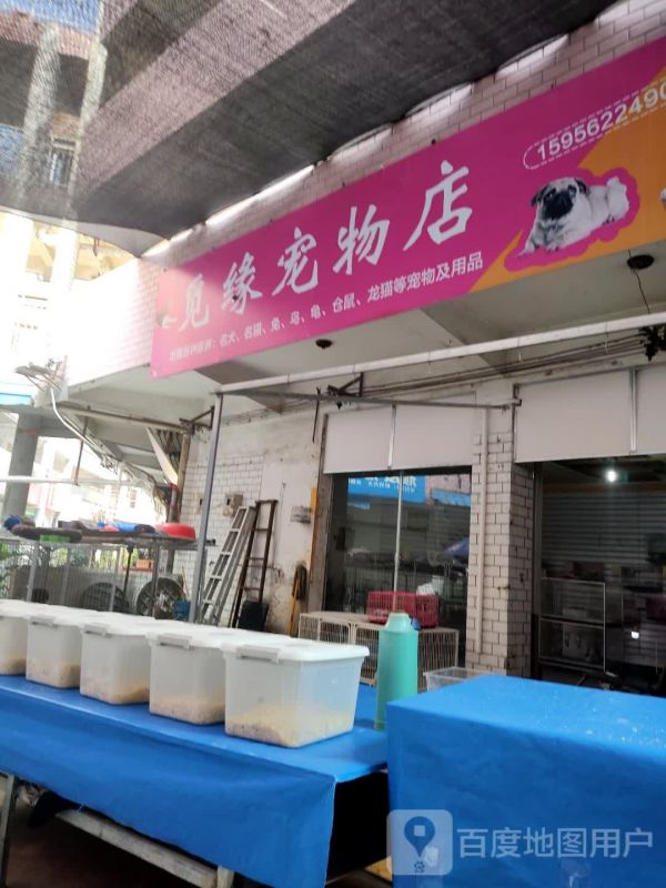 觅缘宠物店店