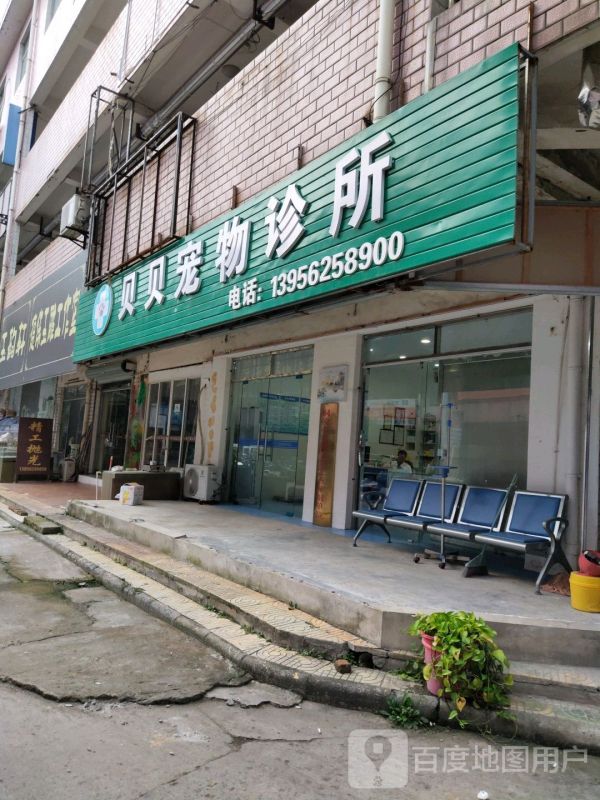 贝贝宠物店诊所