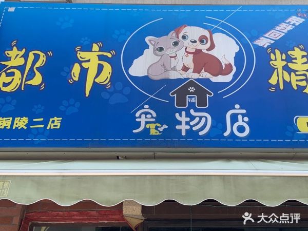 都市经理宠物店