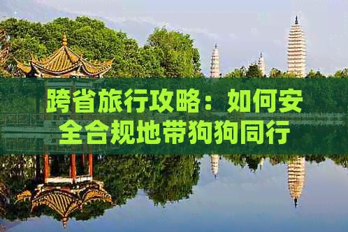 跨省旅行攻略：如何安全合规地带狗狗同行