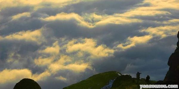 (热门解答)大山包景区宠物友好指南狗狗可否同行攻略必看