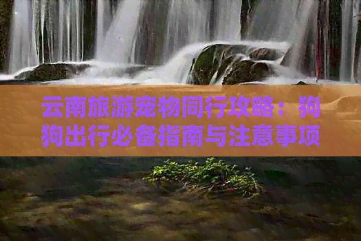 云南旅游宠物同行攻略：狗狗出行必备指南与注意事项