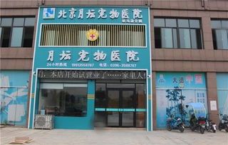 曲阜宠物医院，专业呵护爱宠健康，您家的宠物去哪儿看？