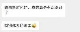 在新加坡养鸡当宠物，小时候蠢萌，长大后居然变帅了...
