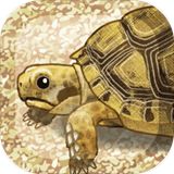 治愈的龟养成最新版