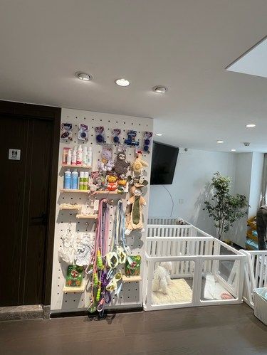 一角萌宠，满屋温馨感