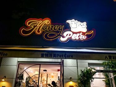 狗狗