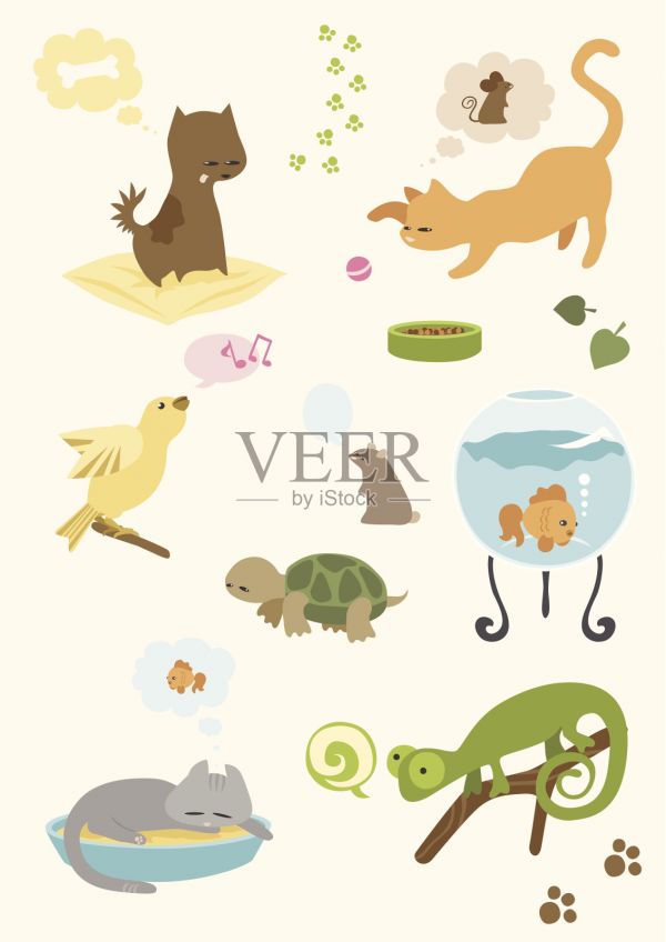 可爱的宠物的设置插画图片素材