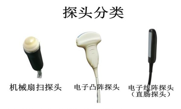 大小动物B超妊娠诊断仪，兽用动物B超测孕仪，宠物B超
