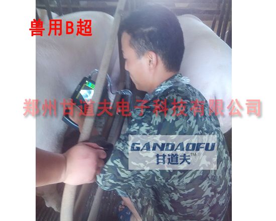 便携式兽用b超