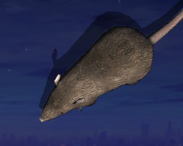 Mouse in Hand手机屏幕养老鼠锁屏软件