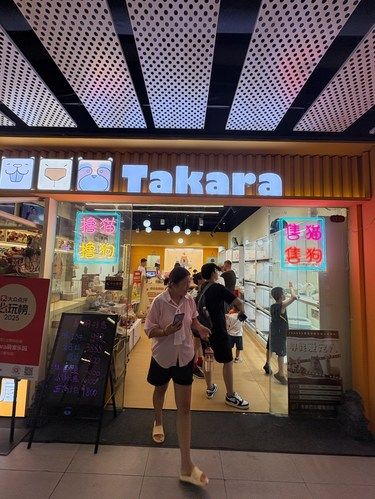 来takara撸水豚！