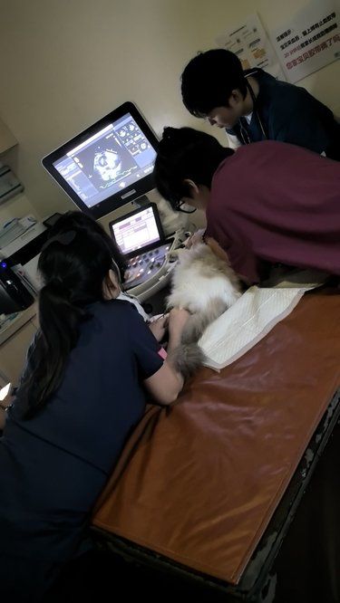 今天又来心脏和内科复查啦～