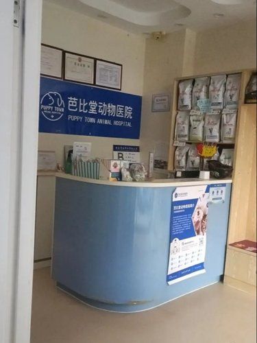 毛孩看病不用愁，靠谱医院24小时接诊 