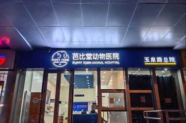 医术超赞 医心更美~