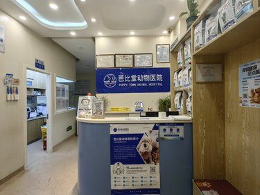 非常非常好的宠物医院