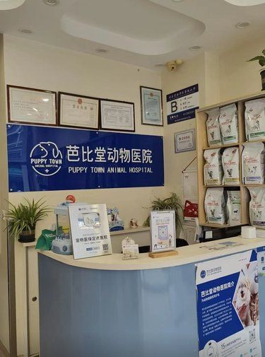 带着毛孩子体检的一天