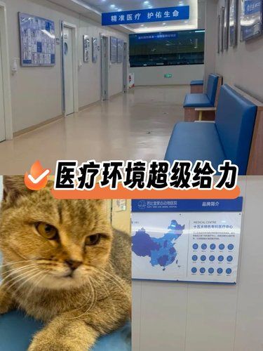 芭比堂动物医院24h转诊中心体验记 