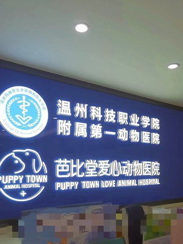 给TA的健康“上保险”：每年一次体检别忘记～