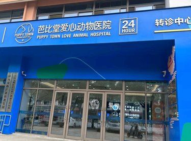 医疗环境超级给力，毛孩子的专属医院
