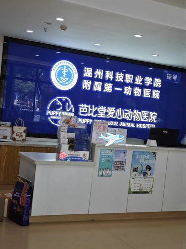 医疗环境超级给力