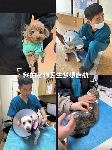 医术超赞 医心更美~