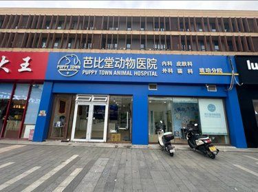 爱宠的健康是我们最大的追求