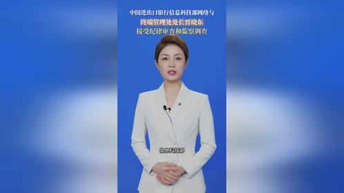 中国进出口银行信息科技部处长晋晓东涉嫌严重违纪违法