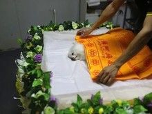 重庆狗死后安葬 狗安乐死 宠物火化 可协助宠主联系安乐服务
