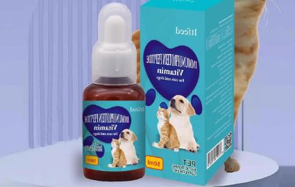 Itfeed宠物药新品上市：癫安舒为犬猫癫痫治疗提供新选择